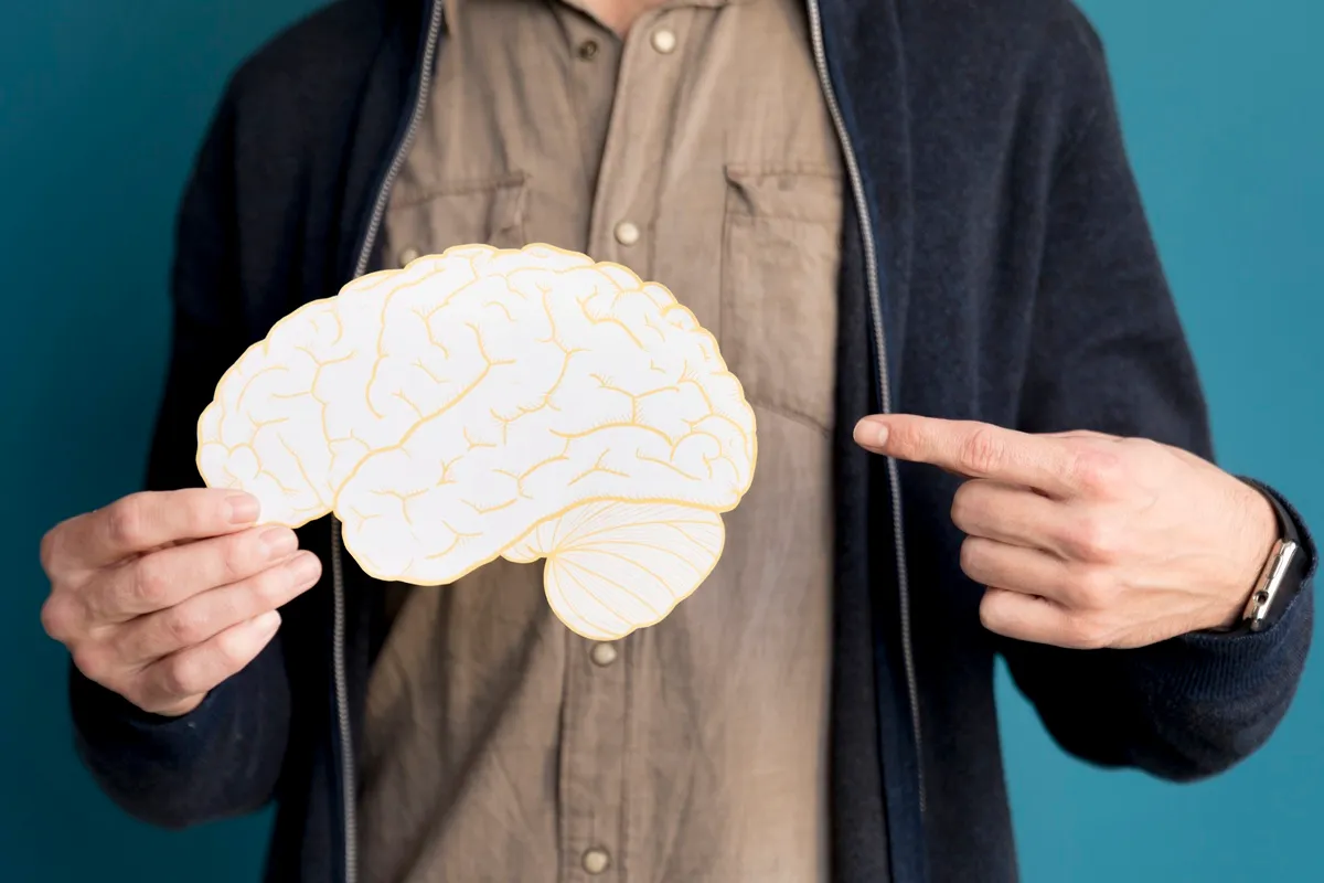 Homem apontando para um modelo de cérebro em papel, simbolizando conceitos de neurociência e aprendizagem.