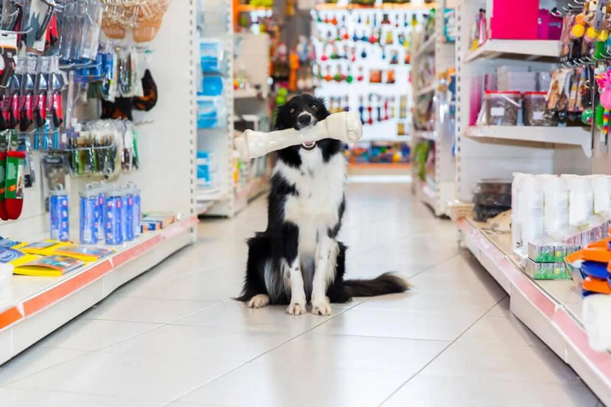 Cliente Oculto: estratégia para impulsionar vendas em pet centers